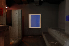 Sophia Sadzakov – Selected Works