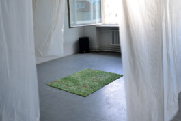 Sophia Sadzakov – Selected Works