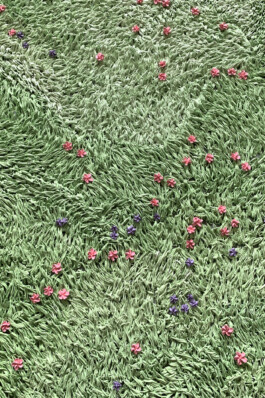 Sophia Sadzakov – Selected Works