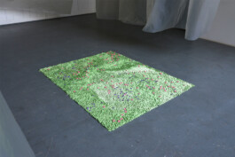  Sophia Sadzakov – Selected Works