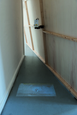 Sophia Sadzakov – Selected Works