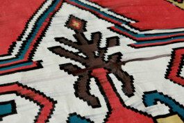 Sophia Sadzakov – Selected Works