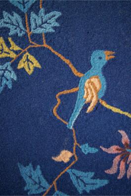 Sophia Sadzakov – Selected Works