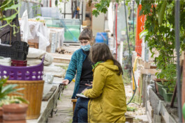 Sophia Sadzakov – Selected Works