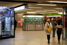 Sophia Sadzakov – Selected Works