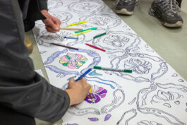  Sophia Sadzakov – Selected Works