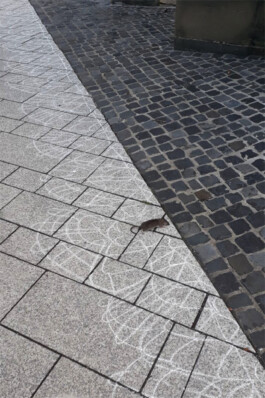 Sophia Sadzakov – Selected Works