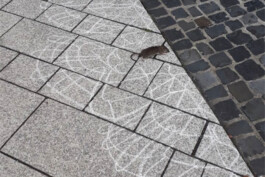  Sophia Sadzakov – Selected Works