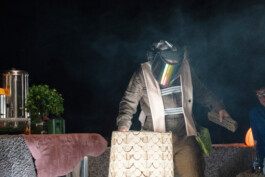 Sophia Sadzakov – Selected Works