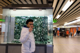 Sophia Sadzakov – Selected Works